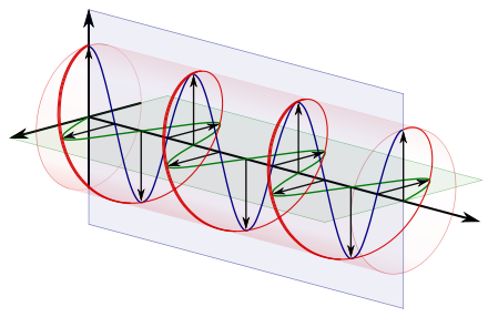 Polarization